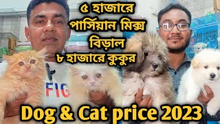 Katabon animal market in bangladesh|German Spitz| Lhasa Apso| Persian Cat| Dog and cat price 2023