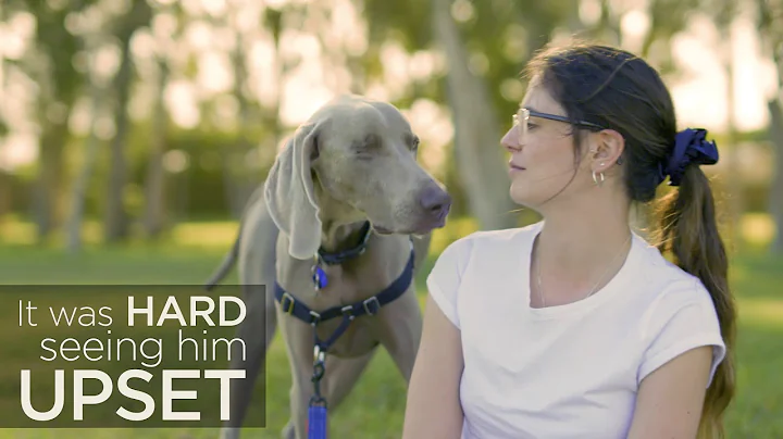 Bravecto Tales: Beth and Miko in Mackay, QLD