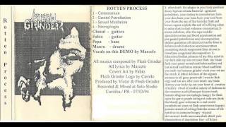 Download Lagu Flesh Grinder - Rotten Process (Demo) MP3