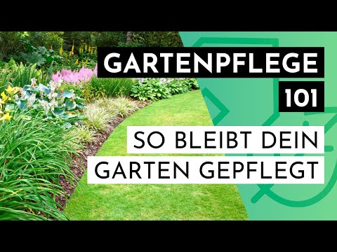 Video: 3 Möglichkeiten zum Gärtnern, wenn Sie saisonale Allergien haben