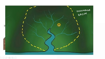 Drainage Pattern and Settlement Pattern ICSE Class 10 Geography