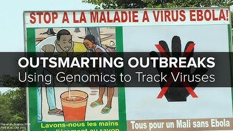 Outsmarting Outbreaks: Using Genomics to Track Viruses
