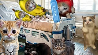 Baby Banana Cat Compilation 😺❤️ 2 Minutes #42