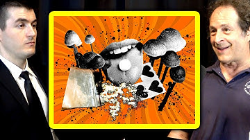 When will psychedelics become legal? | Rick Doblin and Lex Fridman