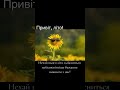 Привіт літо літо літечко тепло позитив щастя радість Recommendations Recommended життя