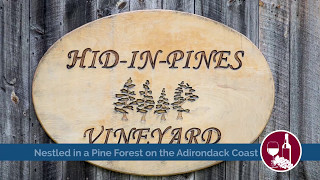 Hid-In-Pines Vineyard - Adirondack Coast Beer & Wine