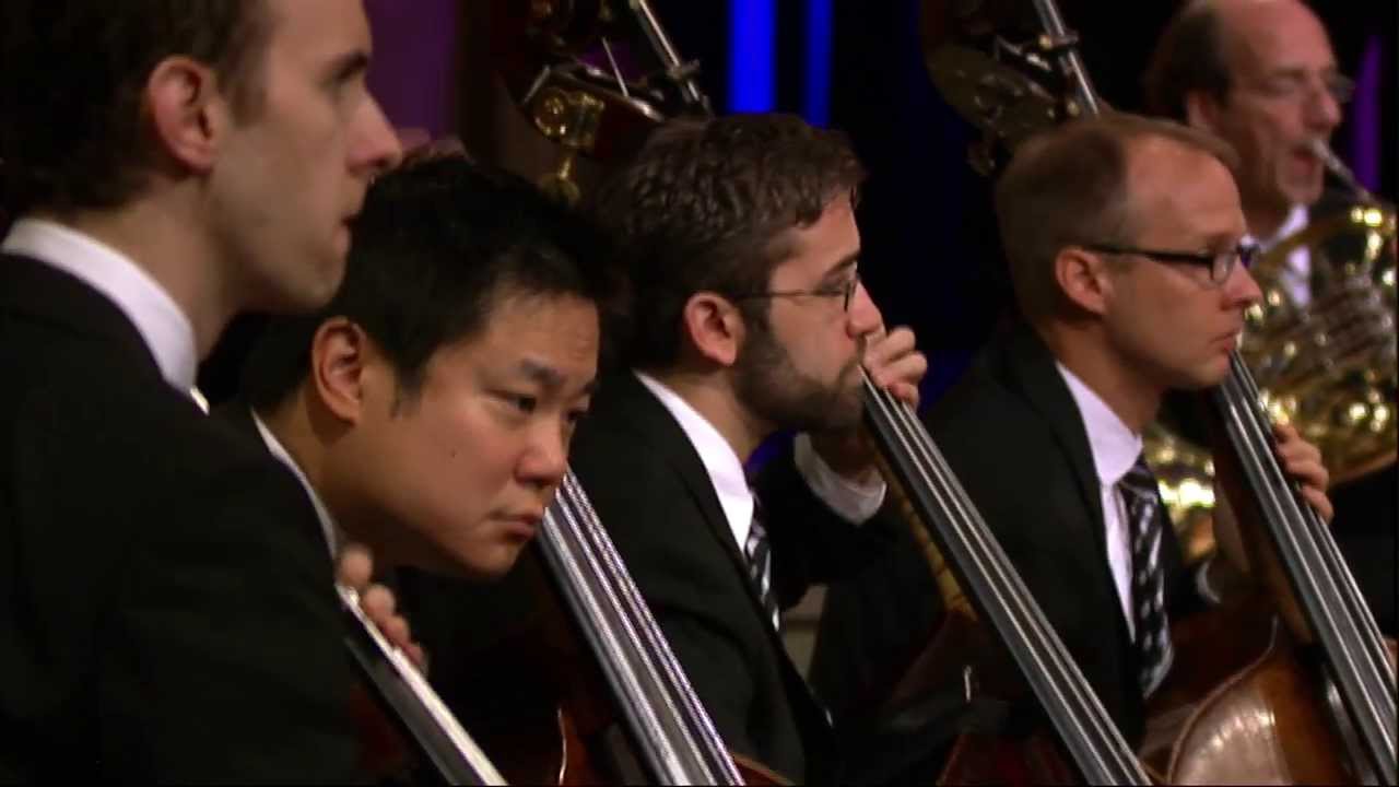 Beethoven 5th Symphony, Mvt I (Double Basses)