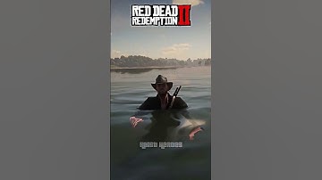 GTA 4 VS RDR2 - Physics Comparison🎯