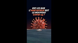 L'hantavirus est-il le nouveau Covid-19 ? 🧐