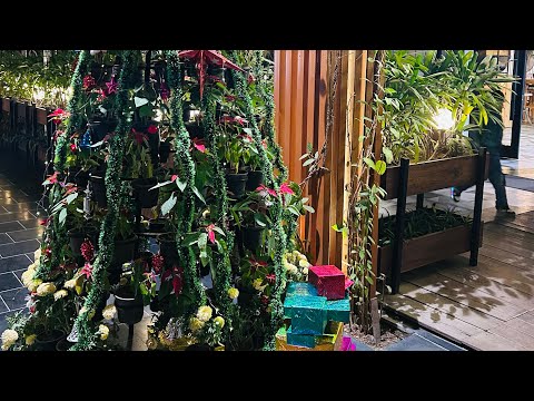 The MOST Festive Restaurant I’ve Ever Seen!🎄 Our Christmas Eve 2025!💥#christmas #decor #jimcorbett  by Sakshi Sinha
