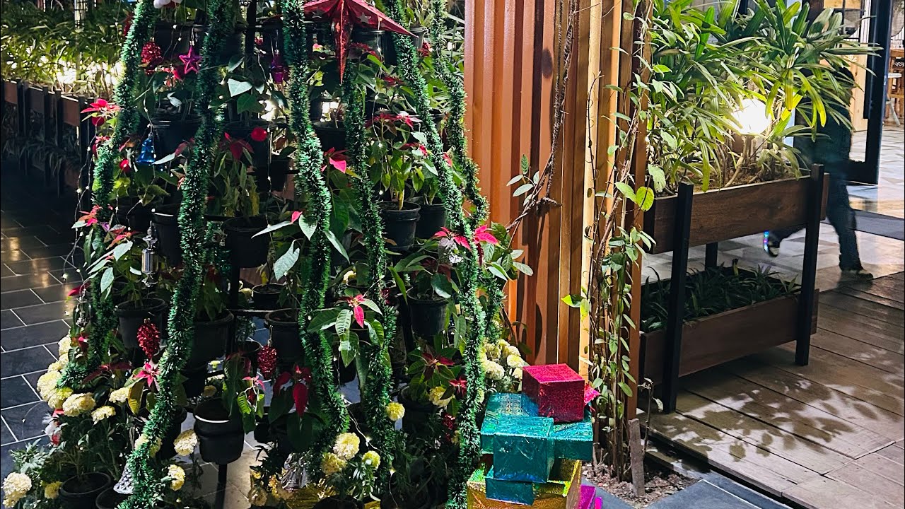 The MOST Festive Restaurant I’ve Ever Seen!🎄 Our Christmas Eve 2025!💥#christmas #decor #jimcorbett  — Sakshi Sinha YouTube video