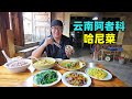 云南阿者科古村，哈尼族农家菜，蘸水鸡豆豉鱼，阿星逛梯田蘑菇屋Hani Cuisine in Azheke Ancient Village, Yuanyang, Yunnan