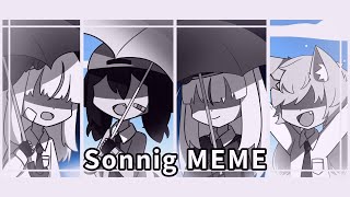 Sonnig Meme