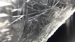 iPhoneを顕微鏡にする『スマホde顕微鏡』で遊んでみよう 動画4