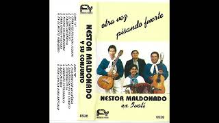 NESTOR MALDONADO 12- Pide cancha para retozar 《Chamamé》 (Néstor Maldonado)