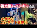 バンギャを裸眼にしたら戦闘力が暴落した件【緑川ゆうサブ】