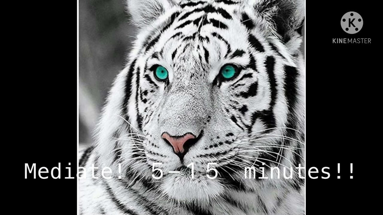 Shapeshifter spell! | (• ◡•)| (tested, works!!) -//read description//-