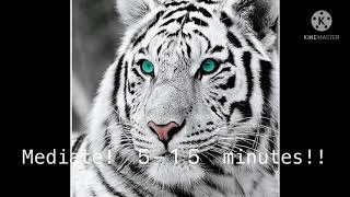 Shapeshifter spell! | (• ◡•)| (tested, works!!) -//read description//-