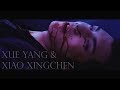 Xue Yang & Xiao Xingchen | The Untamed | Please come back