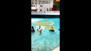 Unlock unlimited fun with our Multi Play Pass now 🎢⛳🌊