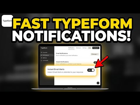 How to configure Typeform notifications to speed up responses - Beginner Guide