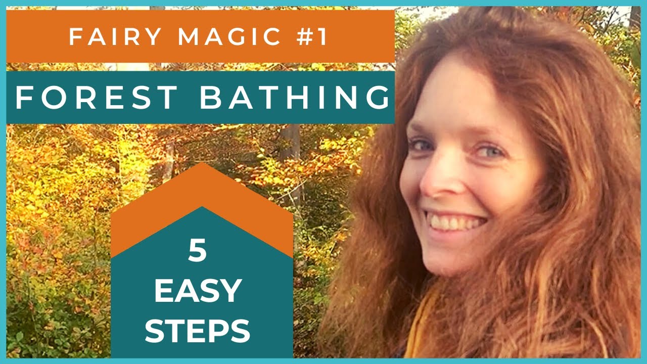 Let’s Go FOREST BATHING 5 Easy Steps YouTube