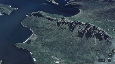 Mud Fossils - Big Island Teeth