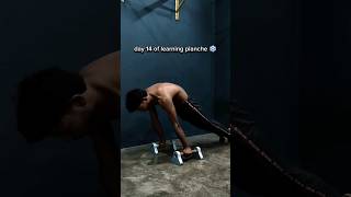 day 14 of learning planche 💪