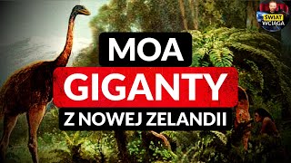 MOA ▶ GIGANTYCZNE PTAKI z Nowej Zelandii ◀🌎 MOA olbrzymi VS Maorysi