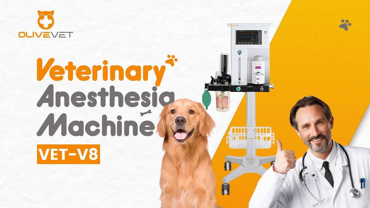 VET-V8 Vet Anesthesia Machine + Ventilator: Turbine Drive + Auto ...