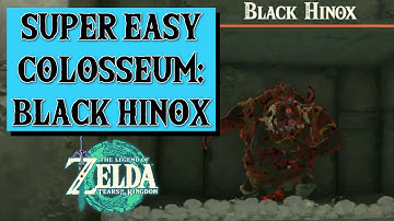 The Black Hinox Colosseum is super easy with Zonai weapons! Zelda Tears of the Kingdom. Chill fight