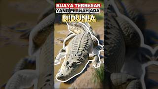 Buaya terbesar dibumi