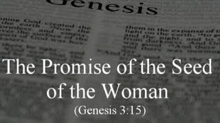 The Promise of the Seed of the Woman (Genesis 3:15)