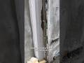 Часть 16. Монтаж Prefab дома 141 кв.м. Основной монтаж дома 3-5 дней! Все работы за 30 дней #стройка