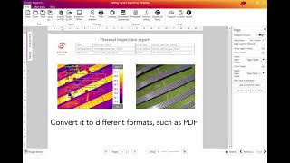 SENSE Reporting - Saving your report and template in different formats