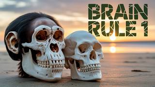 Lecture 2: Brain Rule 1, Our Brain's Framework: It Evolved #brainpower #brainscience #life