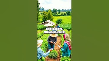 The Uncommon Impact of Blockchain in Agriculture