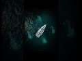 If these pictures scare you, you may have "THALASSOPHOBIA"