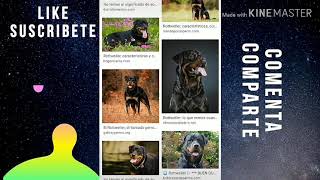 Estos B Rd0S Me Mintieron