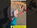 What fish did the boy catch in muddy water? 🐟#viralvideo #facts #fishinggear #fishinglife #fish