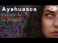 Une experience qui a chang ma vie  ayahuasca jai vraiment vcu a 