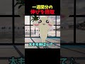伸びが足りない人向けの動画 #ちいかわ #中国