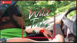 Wild Treks