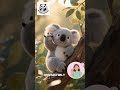 Meet you little Koala Buddy 😍😍😍
