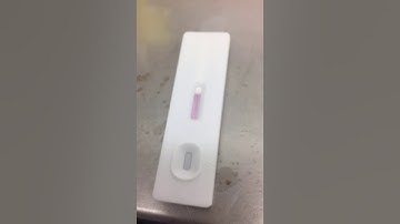 JOYSBIO SARS-COV-2 Antigen Rapid Test Kit - Field Video from EU User
