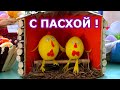 С Пасхой! Поздравление с Праздником Светлой Пасхи. 2 мая 2021 года.