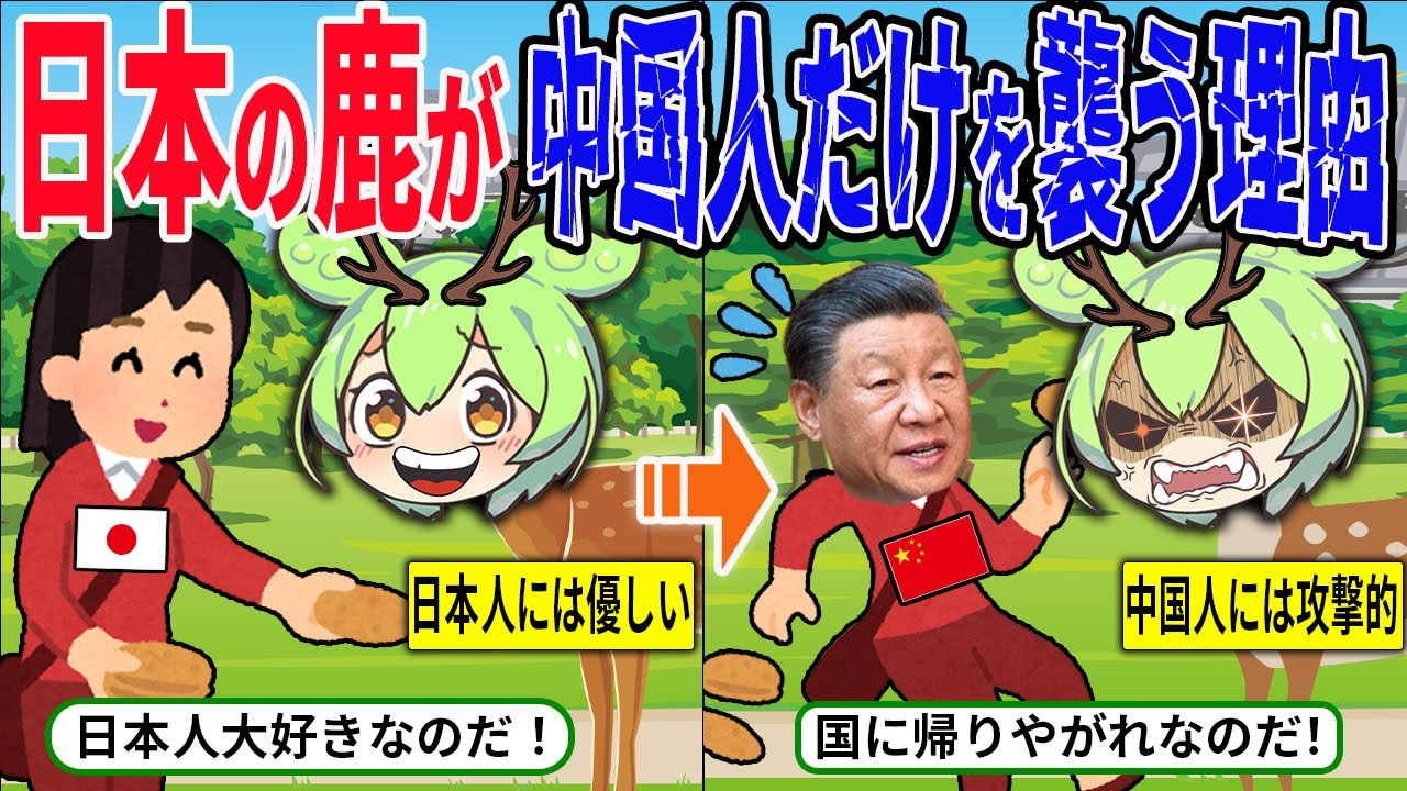 奈良公園の鹿が中国人観光客にブチギレ！？日本人だけに優しい理由衝撃な理由とは？【ずんだもん＆ゆっくり解説】