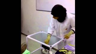 1 Er Video Tp Signes Vitaux