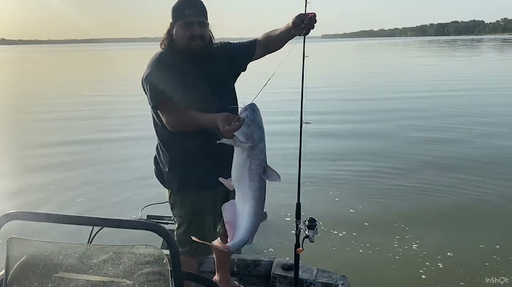 Pesca de bagre, salió para el dore  #pescadebagre #catfishing