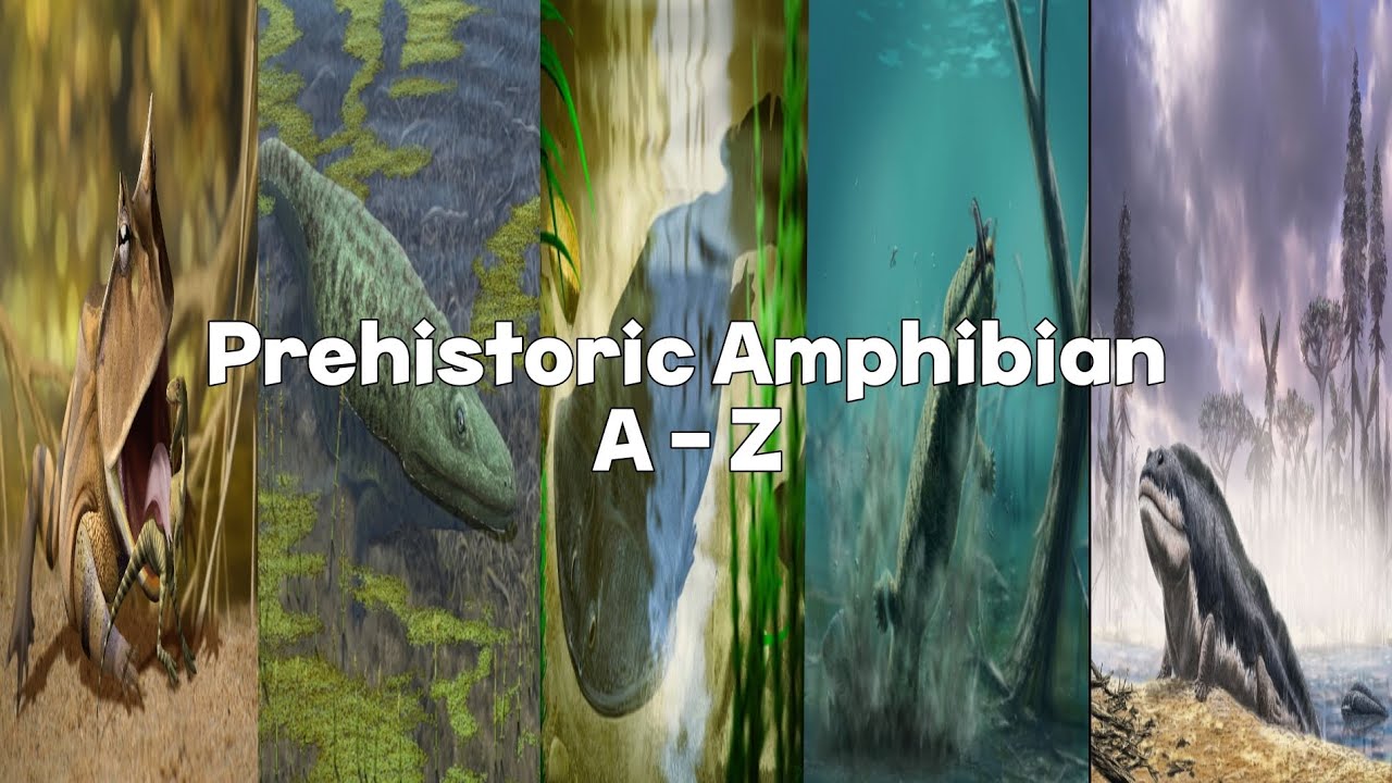 Prehistoric Amphibian A - Z